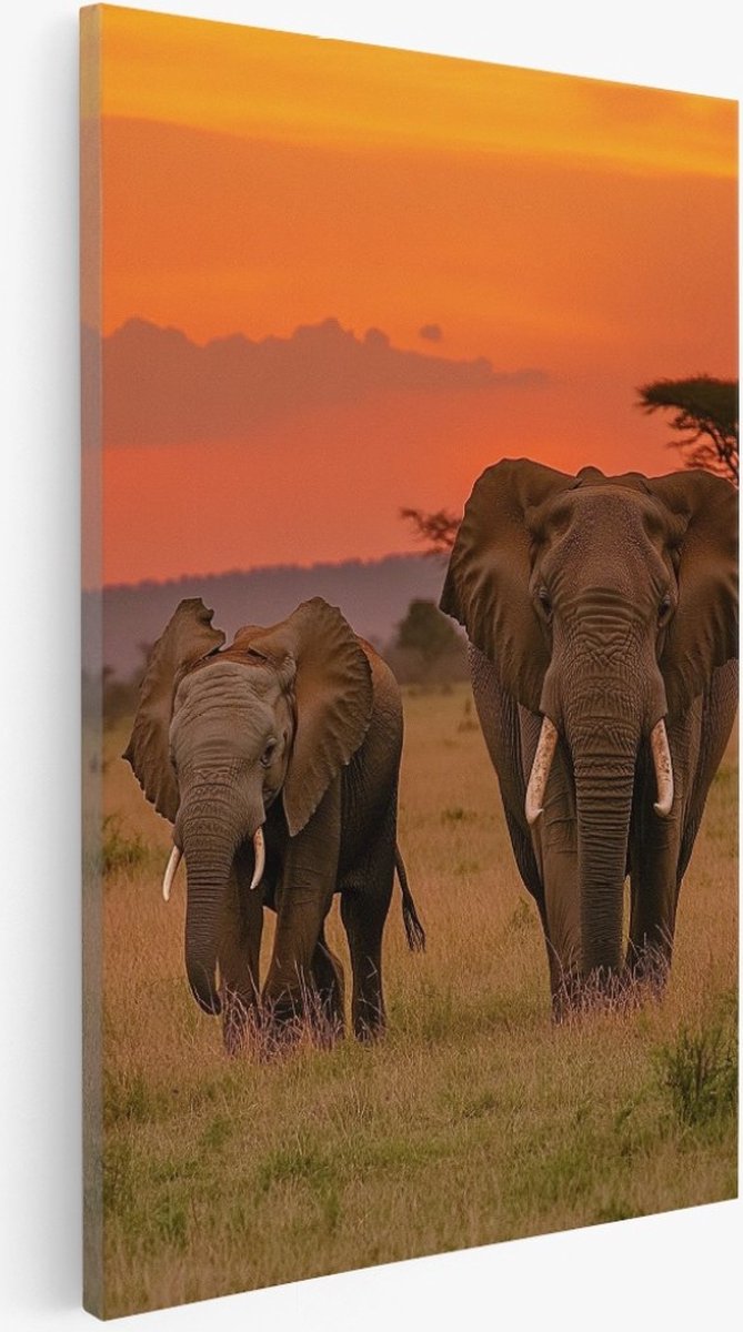 Saammp Canvas Schilderij - 2 Olifanten - Dieren - Natuur - 40x60 - Foto op canvas - Wanddecoratie - Muurdecoratie Woonkamer - Slaapkamer decoratie - Canvas Print Multicolor