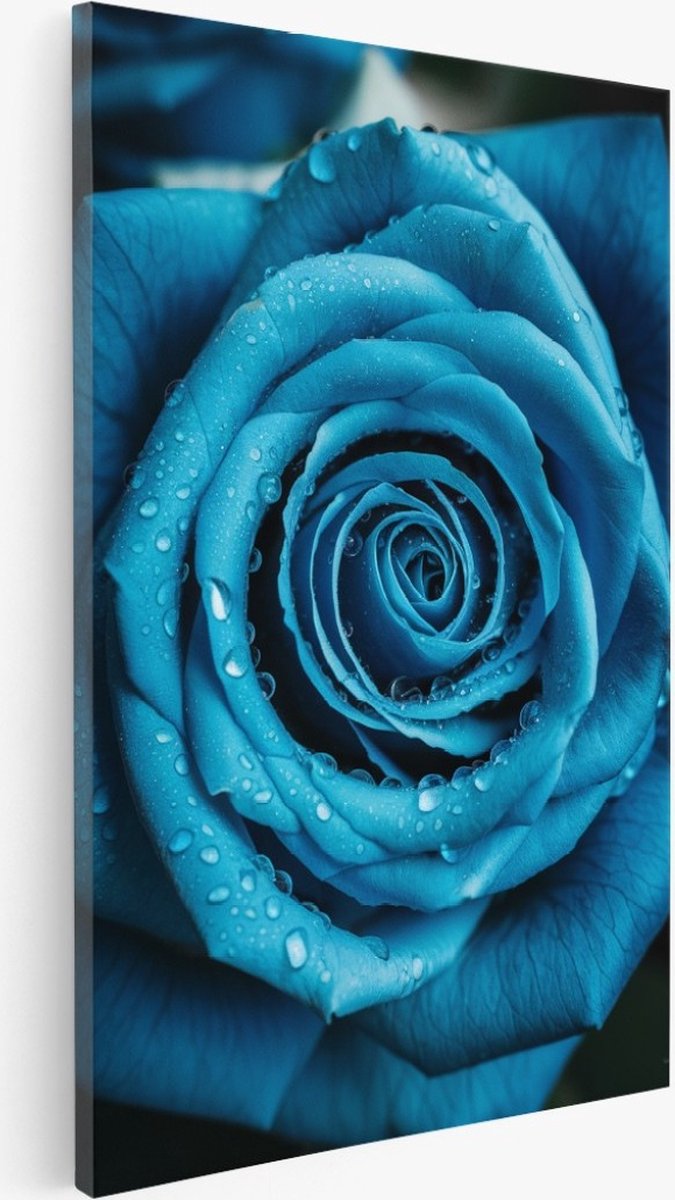 Saammp Canvas Schilderij - Grote Blauwe Roos - Natuur - Bloemen - 60x90 - Foto op canvas - Wanddecoratie - Muurdecoratie Woonkamer - Kantoor Decoratie Multicolor