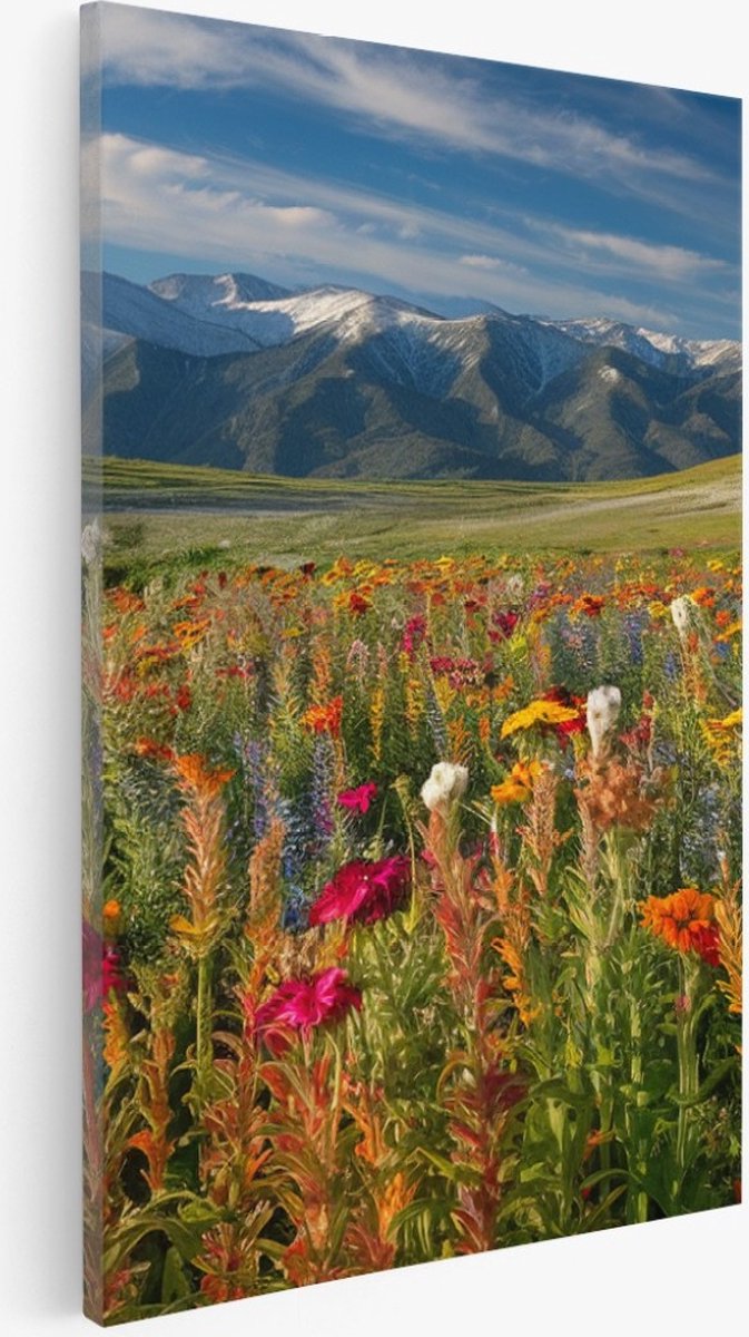 Saammp Canvas Schilderij - Bloemenveld met bergtoppen - Natuur - Landschap - 75x100 - Foto op canvas - Wanddecoratie - Muurdecoratie Woonkamer - Slaapkamer decoratie - Canvas Print Multicolor