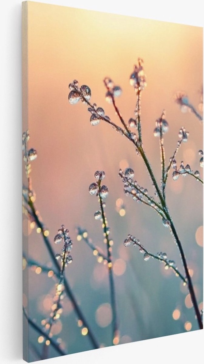 Saammp Canvas Schilderij - Natte Planten - Natuur - Landschap - 40x60 - Foto op canvas - Wanddecoratie - Muurdecoratie Woonkamer - Slaapkamer decoratie - Canvas Print Multicolor