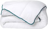 DREAMEA Couette chaude recyclée de DREAMEA en microfibre - 220 x 240 cm - 350 gr/m² - ROSA L 240 cm x H cm x P 220 cm
