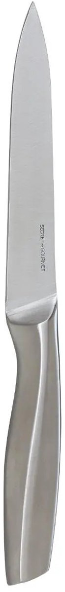 5Five Precision - Fruit en groente mes/Snijmes - 1x stuks - RVS - zilver - 24 cm - keuken messen - luxe kwaliteit