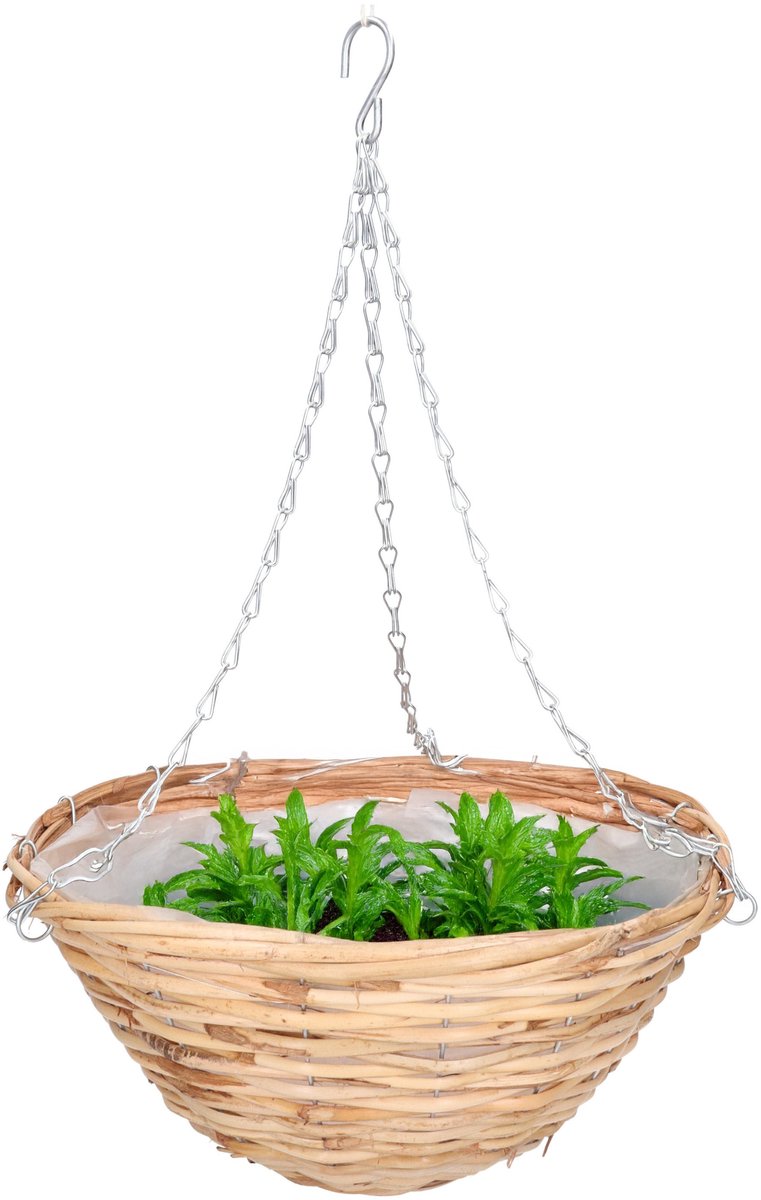 Mega Collections hang plantenbak/mand - gevlochten riet - met binnenzak - D35 x H16 cm