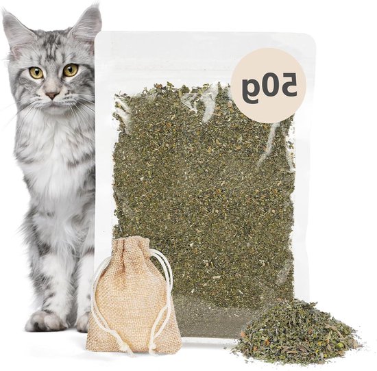 Kattenkruid