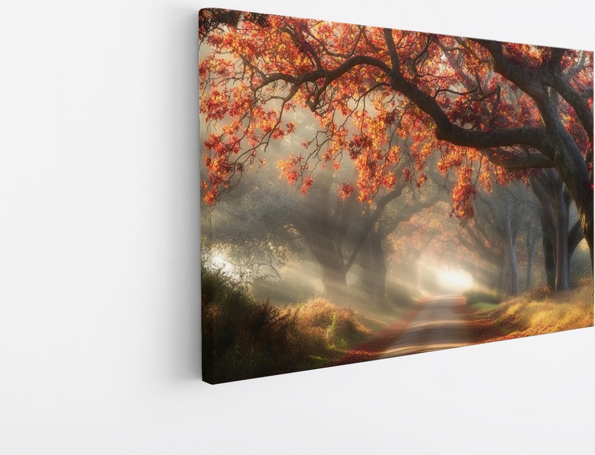 Saammp Canvas Schilderij - Natuur - Bomen met rode bladeren - Herfst - landschappen - 120x80 - Foto op canvas - Wanddecoratie - Muurdecoratie Woonkamer - Slaapkamer decoratie - Canvas Print Multicolor