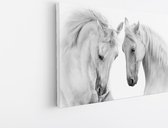 Saammp Canvas Schilderij - 2 Paarden - Liefdevol - Natuur - Dieren - 50x40 - Foto op canvas - Wanddecoratie - Muurdecoratie Woonkamer - Slaapkamer decoratie - Canvas Print