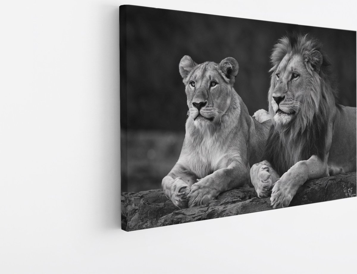 Saammp Canvas Schilderij - 2 Leeuwen op een steen - Dieren - Natuur - 90x60 - Foto op canvas - Wanddecoratie - Muurdecoratie Woonkamer - Slaapkamer decoratie - Canvas Print Multicolor