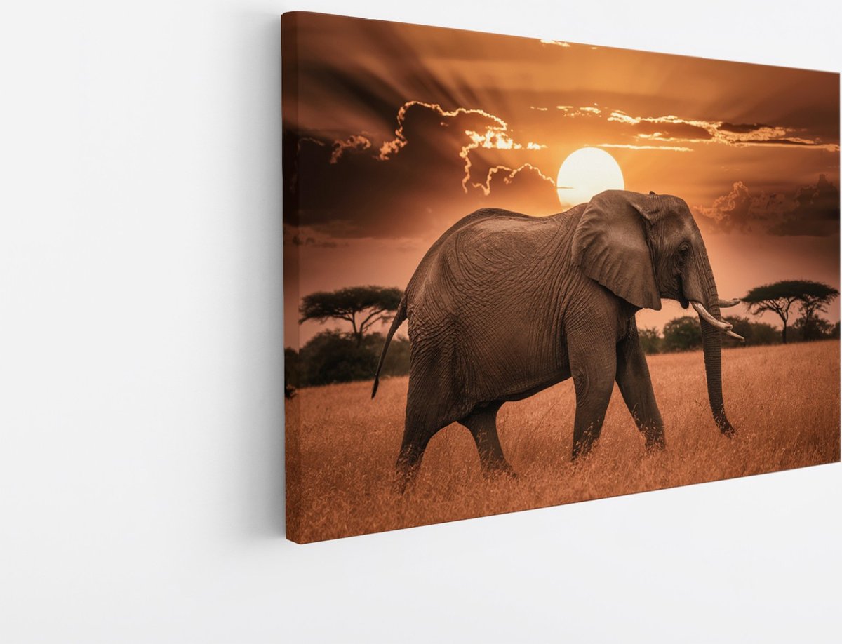 Saammp Canvas Schilderij - olifant in de Zonsondergang - Afrika - Dieren - 90x60 - Foto op canvas - Wanddecoratie - muurdecoratie Woonkamer - Slaapkamer decoratie - Canvas Print Multicolor