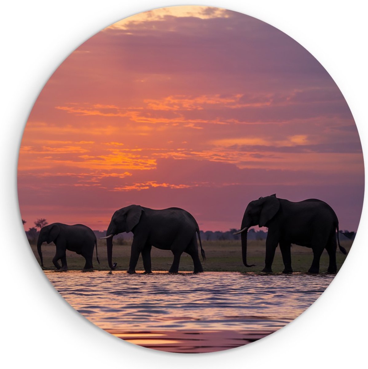 Saammp Muurcirkel Hout - Olifanten in de zonsondergang - Afrika - Dieren - Ø 50 - Wandcirkel - Wanddecoratie Cirkel - muurdecoratie Woonkamer - Slaapkamer decoratie - Rond Schilderij
