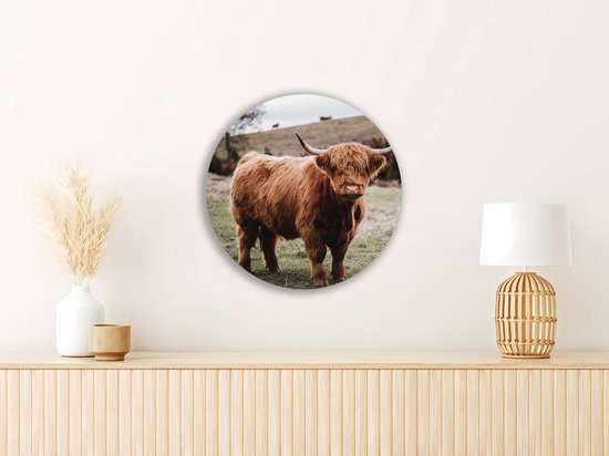 Saammp Cercle Mural Bois - Groupe Vaches Highlander Écossaises sur les hautes terres - Animaux - Nature - Ø 60 - Cercle Mural - Cercle Décoration murale - Décoration Murale Salon - Décoration Chambre - Tableau Rond