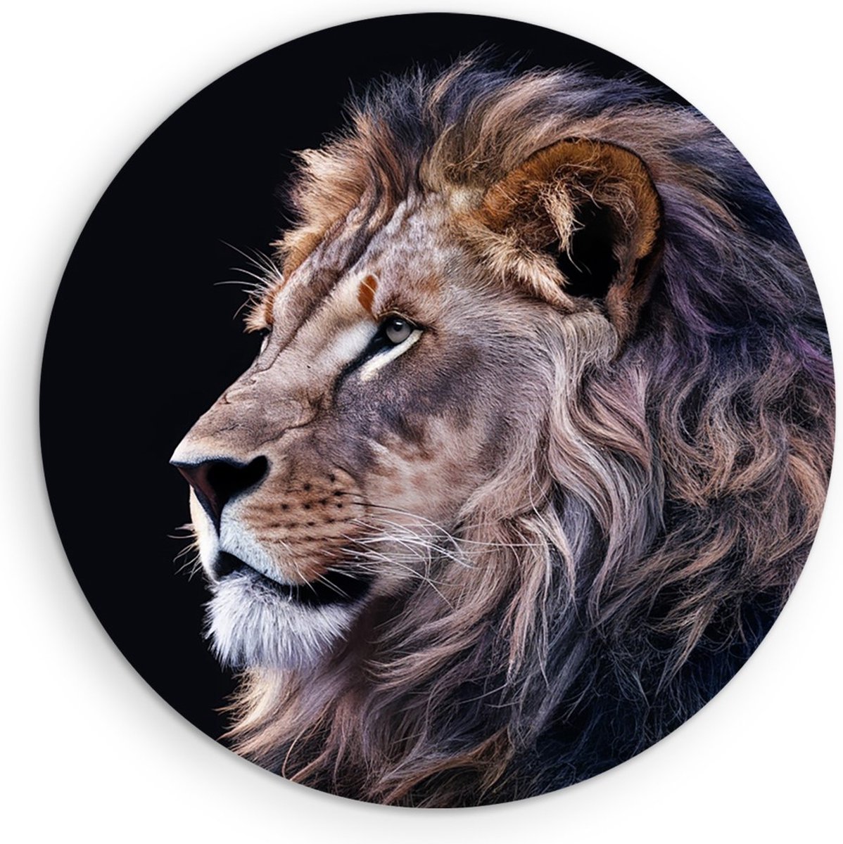 Saammp Forex Muurcirkel - leeuwen portret - Afrika - Dieren - Natuur - Ø 90 - Wandcirkel - Wanddecoratie Cirkel - Muurdecoratie Woonkamer - Slaapkamer decoratie - Rond Schilderij
