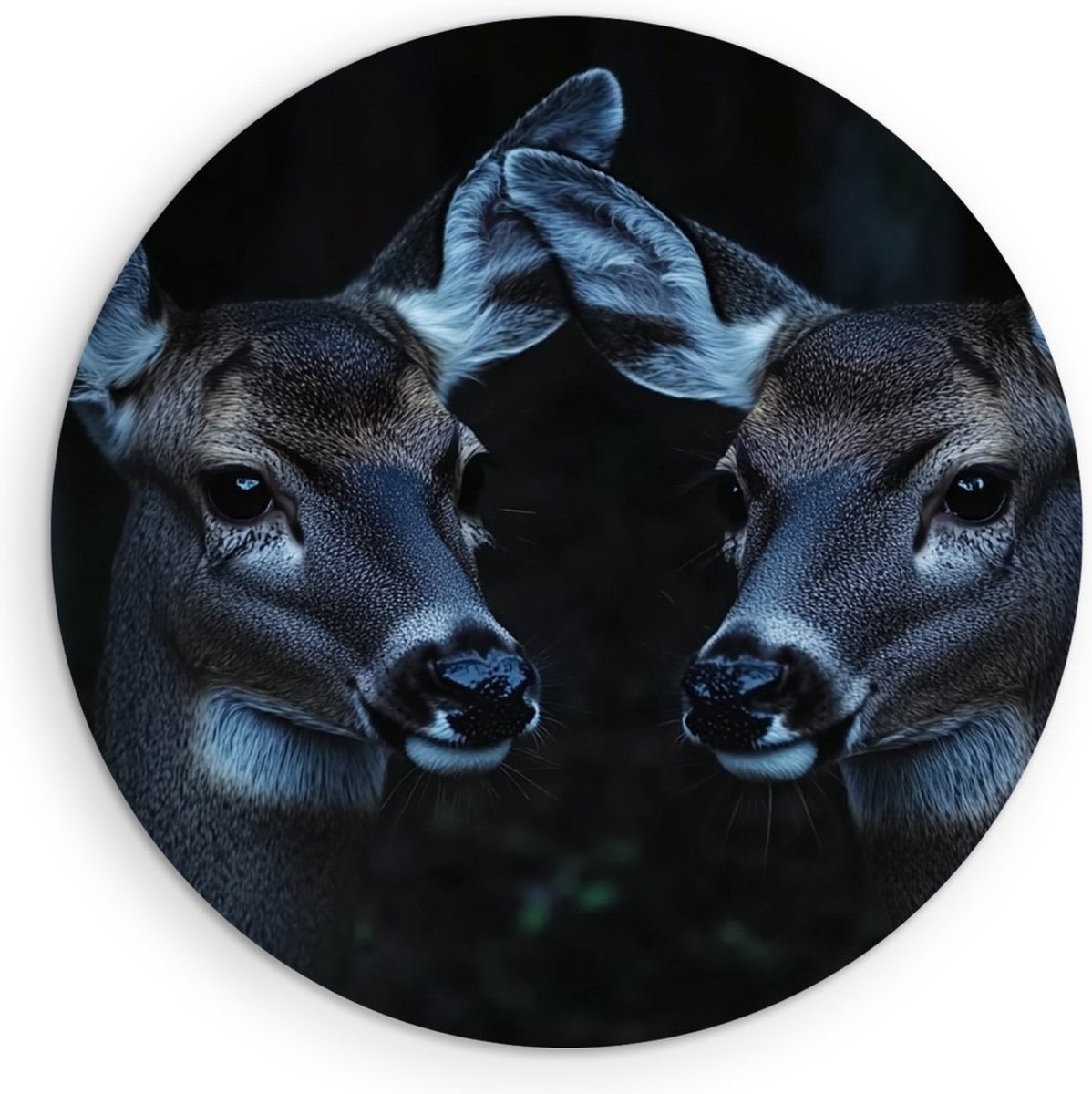 Saammp Forex Muurcirkel - 2 Jonge Herten - Portret - Natuur - Dieren - Ø 40 - Wandcirkel - Wanddecoratie Cirkel - Muurdecoratie Woonkamer - Slaapkamer decoratie - Rond Schilderij