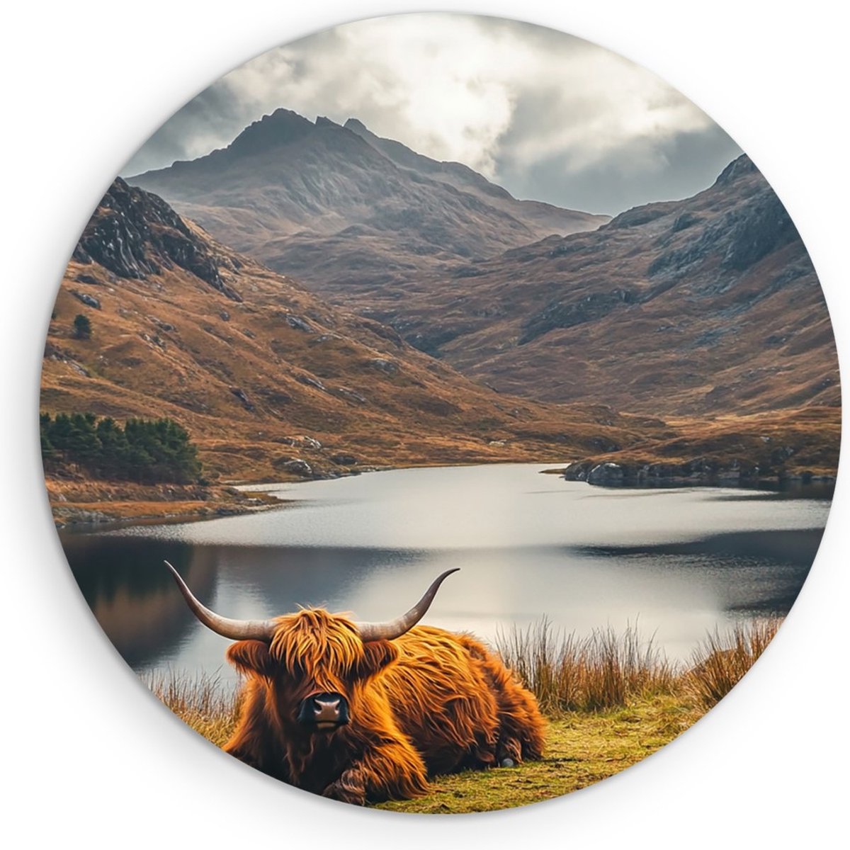 Saammp Muurcirkel Hout - Schotse hooglander koe - Schotse hooglanden - Natuur - Dieren - Ø 70 - Wandcirkel - Wanddecoratie Cirkel - Muurdecoratie Woonkamer - Slaapkamer decoratie - Rond Schilderij