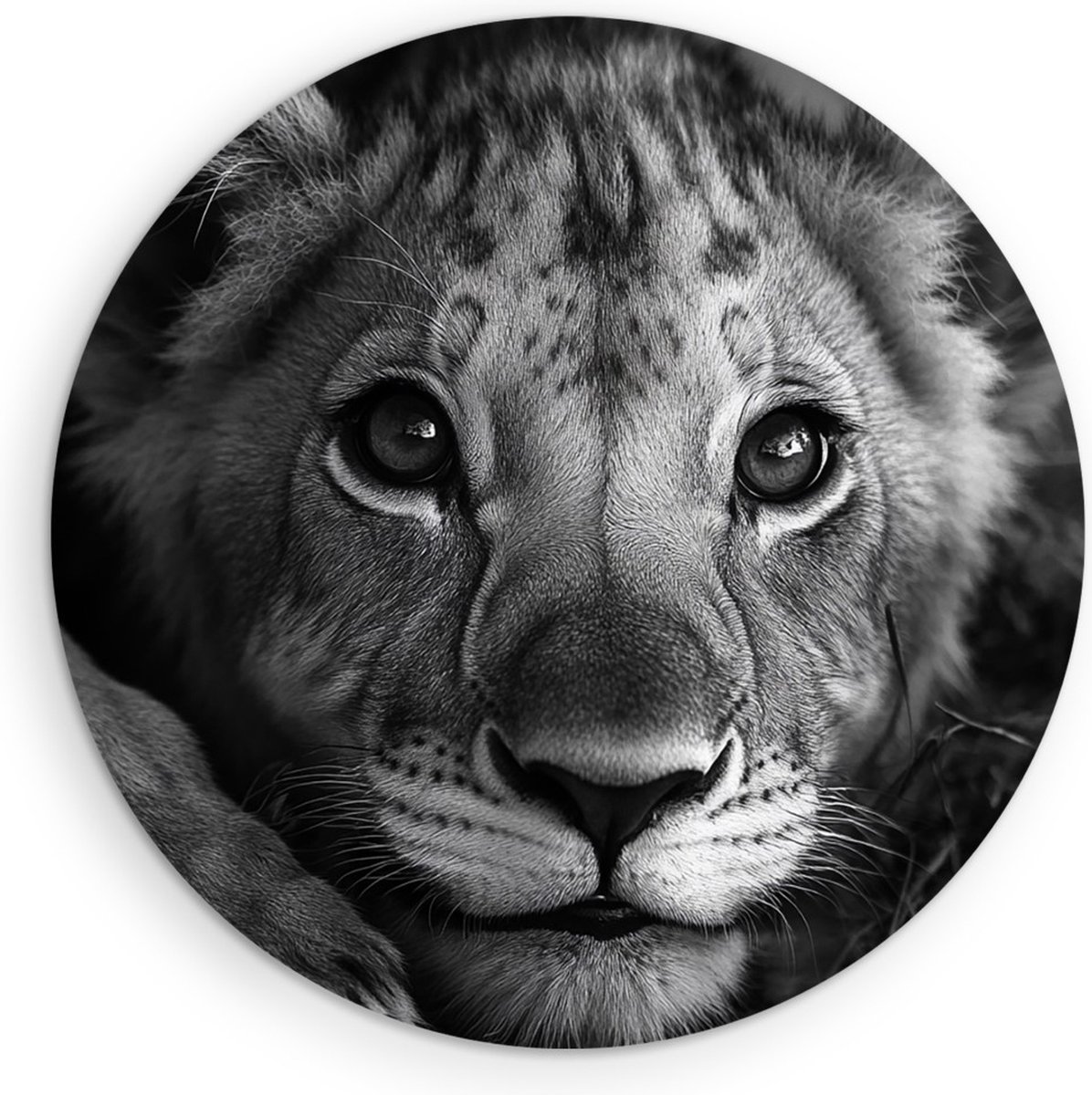 Saammp Muurcirkel Hout - Schattige Leeuwen Welp - Dieren - Natuur - Ø 30 - Wandcirkel - Wanddecoratie Cirkel - Muurdecoratie Woonkamer - Slaapkamer decoratie - Rond Schilderij