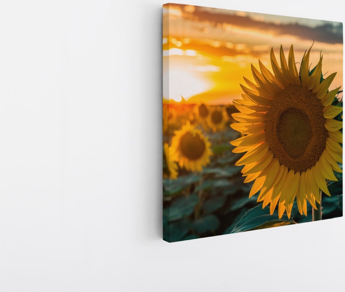 Saammp Canvas Schilderij - Zonnebloemen - Natuur - Landschap - 60x60 - Foto op canvas - Wanddecoratie - Muurdecoratie Woonkamer - Slaapkamer decoratie - Canvas Print Multicolor