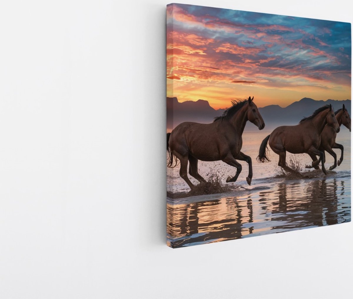 Saammp Canvas Schilderij -Groep paarden In het water tijdens zonsondergang- Dieren - Natuur - 100x100 - Foto op canvas - Wanddecoratie - muurdecoratie Woonkamer - Slaapkamer decoratie - Canvas Print Multicolor
