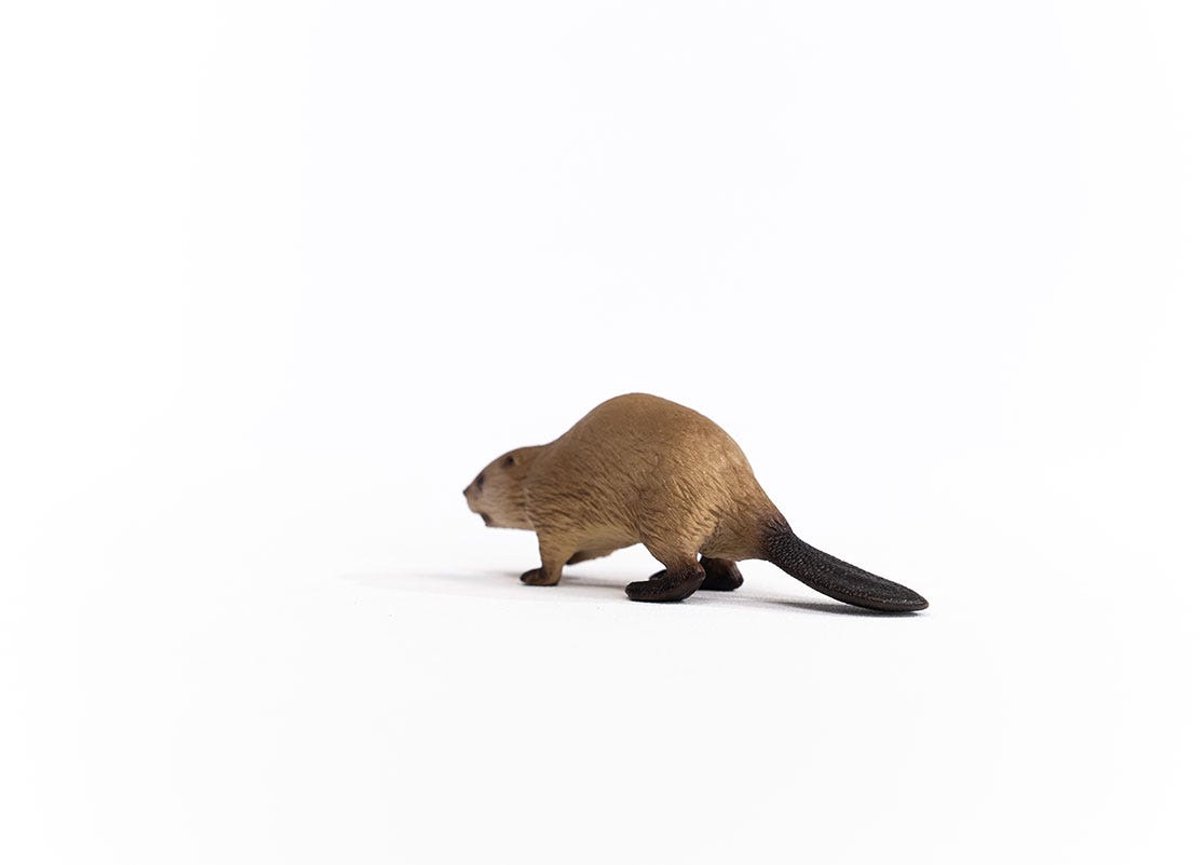 schleich WILD LIFE - Bever - 14855 — afbeelding 5