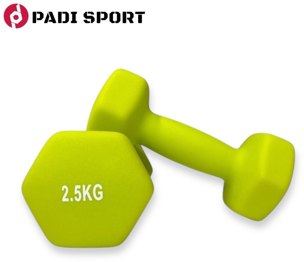dumbell set 25 kg - fitness - gewicht - set - 2.5 kg - 2x25kg - blauw