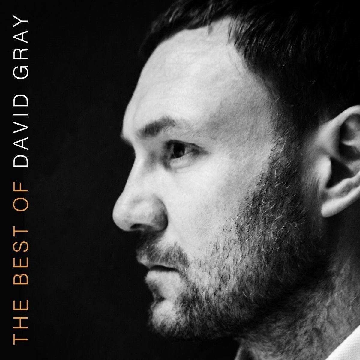 David Gray - Best Of David Gray (CD)