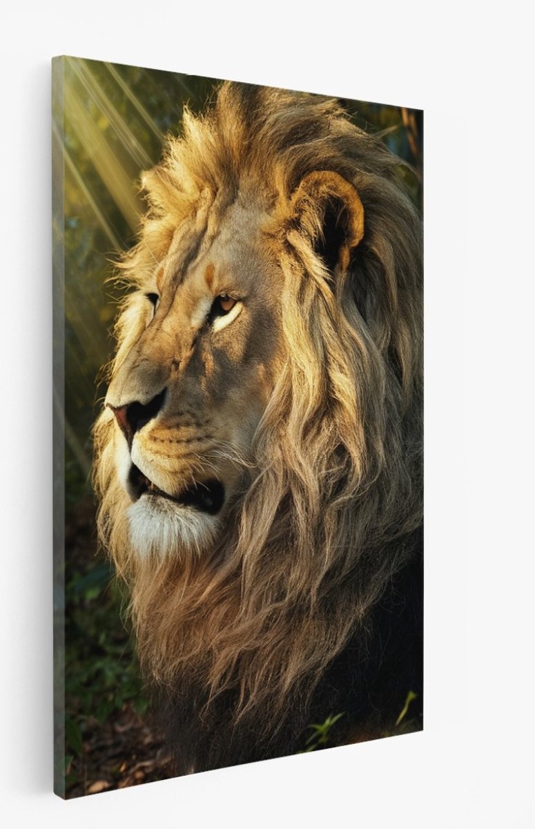 Saammp Canvas Schilderij - Leeuw in de zon - Natuur - Dieren - 40x60 - Foto op canvas - Wanddecoratie - Muurdecoratie Woonkamer - Slaapkamer decoratie - Canvas Print Multicolor