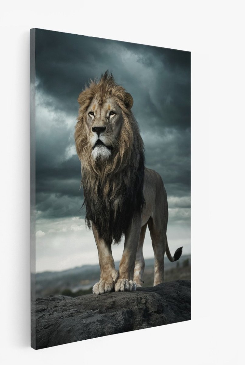 Saammp Canvas Schilderij - Leeuw - Rots - Dieren - 20x30 - Foto op canvas - Wanddecoratie - Muurdecoratie Woonkamer - Slaapkamer decoratie - Canvas Print Multicolor