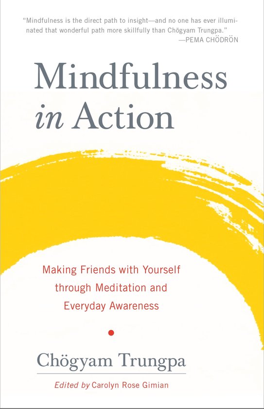 Boek 'Mindfulness in Action' met een gele penseelstreek op de omslag, geschreven door Chögyam Trungpa.