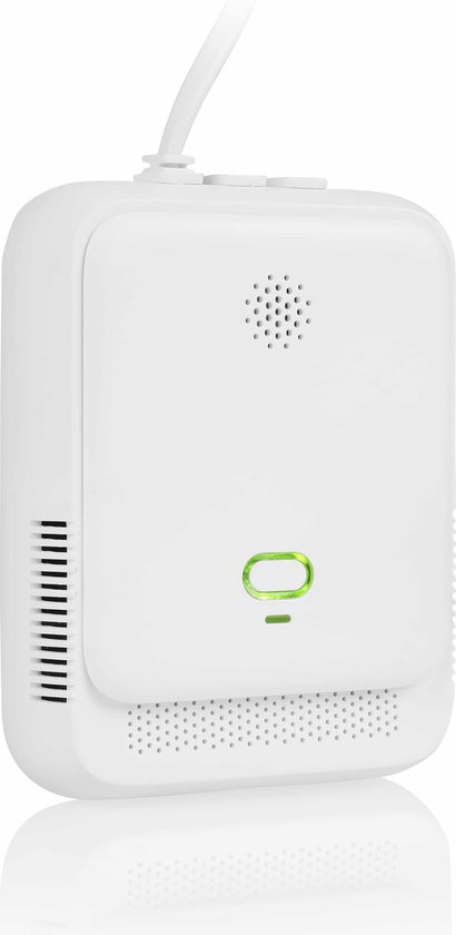 Smartwares FGA-13410 – gasalarm – 85 dB – 5 jaar