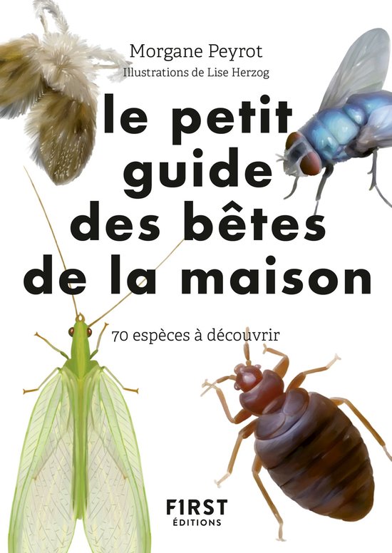 Couverture du livre 'Le petit guide des bêtes de la maison' avec illustrations d'un papillon de nuit, d'une mouche, d'une libellule et d'un punaise de lit.