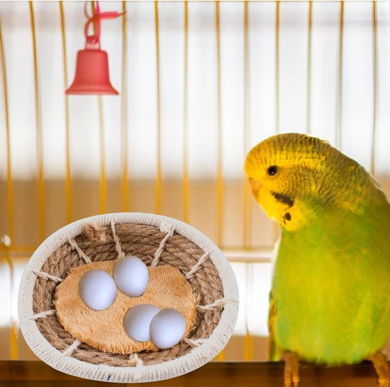 Zupreem Essentials Vogelvoer voor bedrijfsvogels, natuurlijke ingrediënten, vogelvoer, geschikt voor papegaaien, ara's, kaketoes en andere middelgrote en grote vogels, 1,5 kg