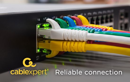 CablExpert PP6-5M - FTP Cat6 - 5 m - grijs
