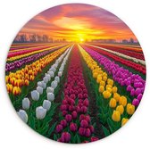 WallCircle® Wandcirkel 60x60 cm - Muurcirkel Tulpenveld - Zonsondergang - Kleurrijk - Muurdecoratie woonkamer - Wanddecoratie slaapkamer - Kamer decoratie accessoires - Ronde schilderijen