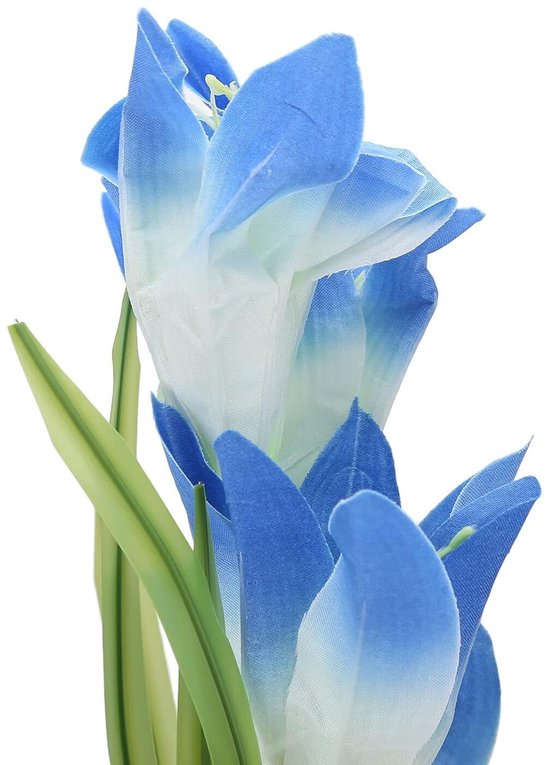 Vixson - Éclairage Solar de jardin - Lampe à Bloem - Lampe à fleurs - Éclairage d'ambiance extérieur - Éclairage extérieur à Énergie solaire - Blauw - BLOSSUN