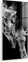 Glasschilderij - Foto op glas - Acrylglas - Wilde dieren - Giraffe - Familie - Zwart wit - 40x80 cm - Glasschilderij giraffe - Wanddecoratie glas - Decoratie woonkamer - Glasschilderij dieren