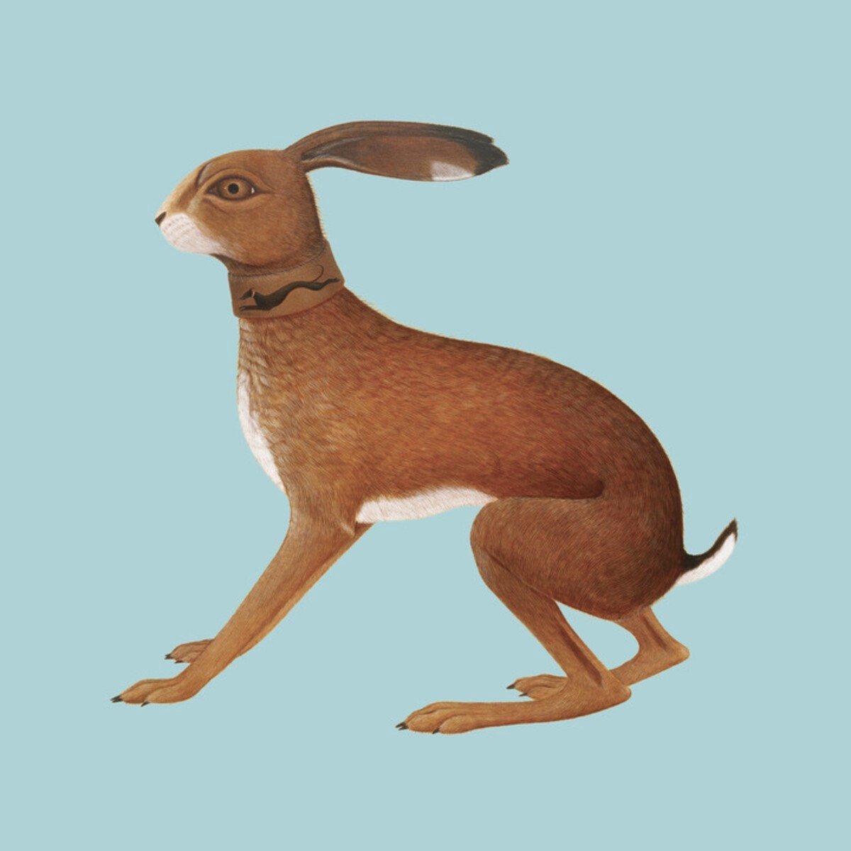 Vashti Bunyan - Lookaftering - Expanded Edition (2 LP)