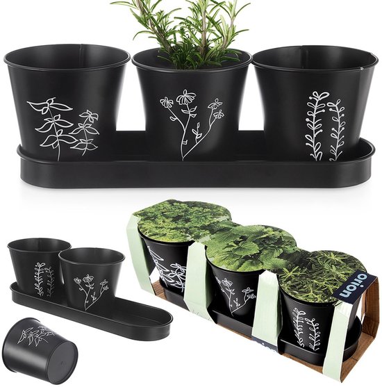 Pot de fleurs pour herbes sur pied BLACKLINE 4 c. à soupe - Pot de fleurs