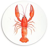 WallCircle® Wandcirkel 60x60 cm - Muurcirkel Kreeft - Waterverf - Aquarel - Oranje - Muurdecoratie woonkamer - Wanddecoratie keuken - Kamer decoratie accessoires - Ronde schilderijen