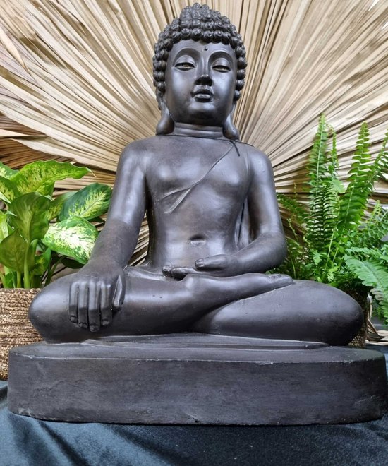 Zwart Boeddhabeeld in meditatiehouding, zittend op een sokkel met planten op de achtergrond.