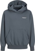 Sweat à capuche JACK&JONES JUNIOR JORISLINGTON BACK SN JNR Garçons - Stormy Weather