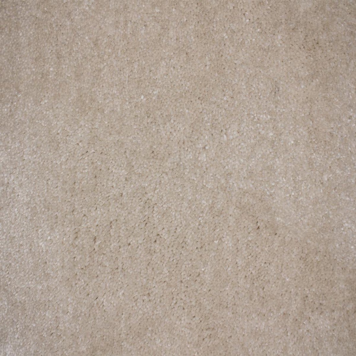 Vloerkleed Xilento Soft Latte | 170 x 230 cm
