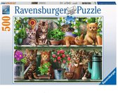 Ravensburger 14824 puzzle Jeu de puzzle 500 pièce(s) Animaux