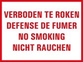 Verboden te roken tekstbord - kunststof - viertalig 320 x 200 mm
