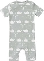 Fresk zomerpakje Whale dawn grey