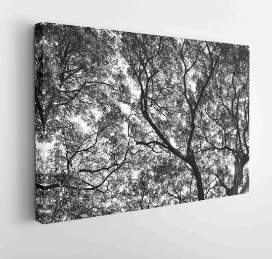 Art dans les branches d'arbre avec des perspectives abstraites. -Toile Art moderne-horizontal-577061614-40*30 horizontal