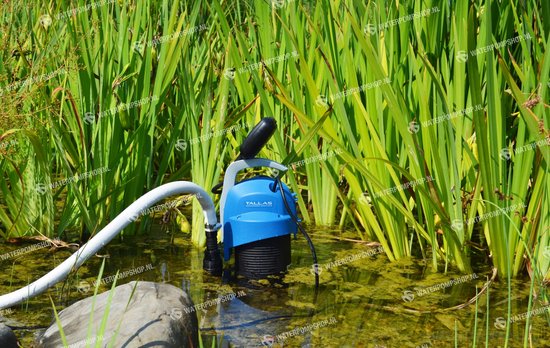 Blauwe Tallas D-DW 400 pomp met witte slang, midden in het water tussen hoge groene planten.