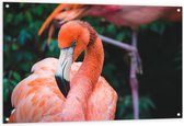 Tuinposter – Lichtroze Flamingo - 120x80cm Foto op Tuinposter  (wanddecoratie voor buiten en binnen)