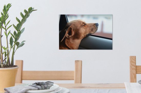 Chien profitant de l'extérieur toile 2cm 30x20 cm - petit - Tirage photo sur toile (Décoration murale salon / chambre) / Peintures sur toile pour Animaux domestiques