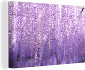 Faded Wisteria 180x120 cm - Tirage photo sur toile (Décoration murale salon / chambre) / Peintures Fleurs sur toile XXL / Groot format!