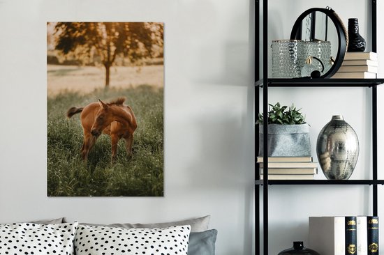 Quarter horse poulain regarde 40x60 cm - Tirage photo sur toile (Décoration murale salon / chambre) / Peintures sur toile Mammifères