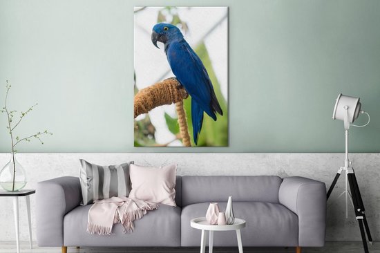 Ara hyacinthe sur toile bâton 2cm 120x180 cm - Tirage photo sur toile (Décoration murale salon / chambre) XXL / Groot format!