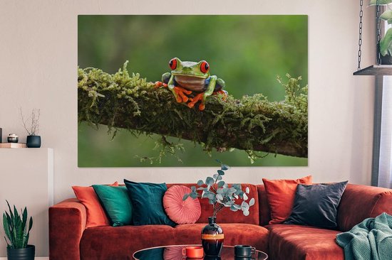 Grenouille d'arbre aux yeux rouges sur toile de branche couverte 2cm 150x100 cm - Impression photo sur toile (Décoration murale salon / chambre) / Peintures sur toile animaux sauvages